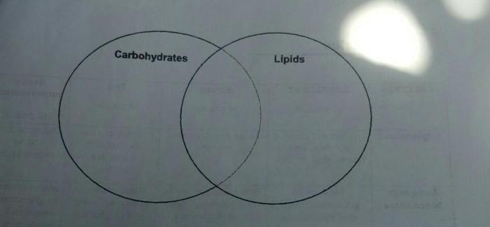 Carbohydrates and lipids venn diagram