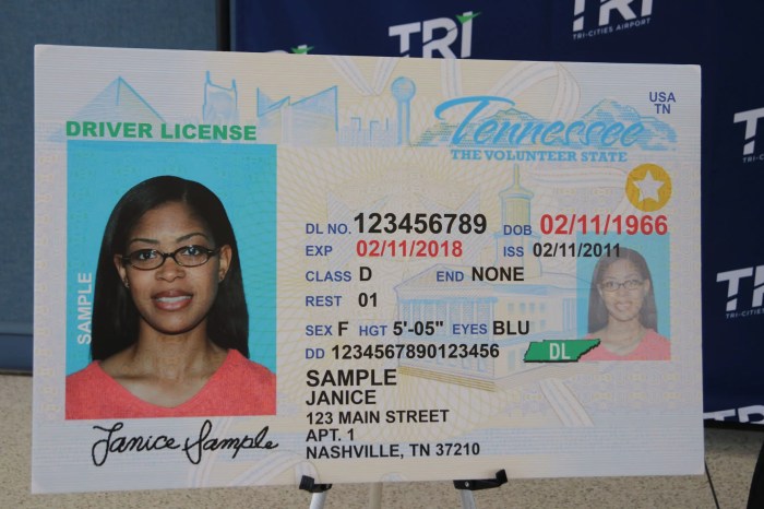 Examen de licencia de conducir en tennessee