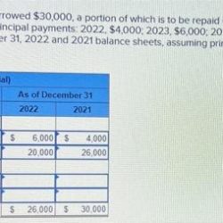 Company december borrowed show year repaid portion november each which solved has been assume problem transcribed text