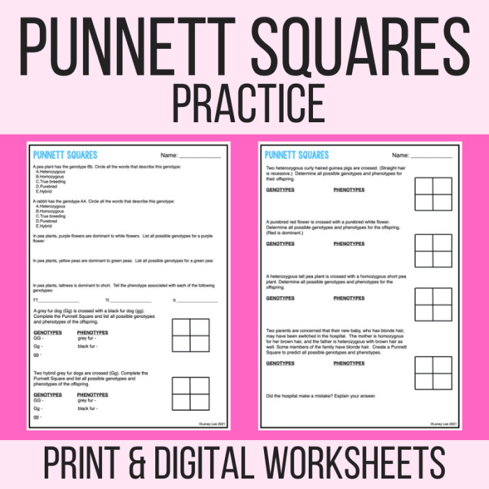 Punnett square practice all about dogs