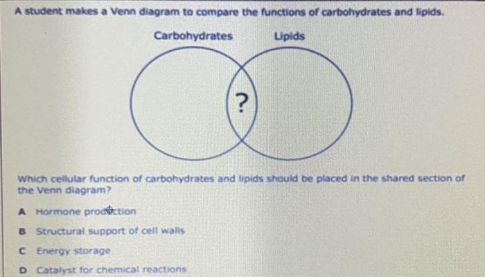 Carbohydrates and lipids venn diagram