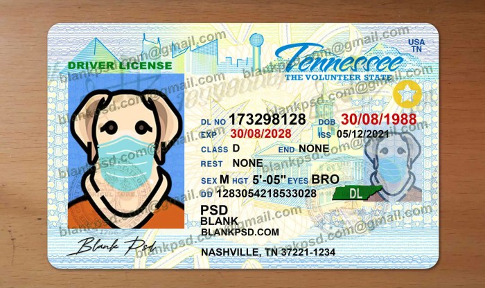 Examen de licencia de conducir en tennessee