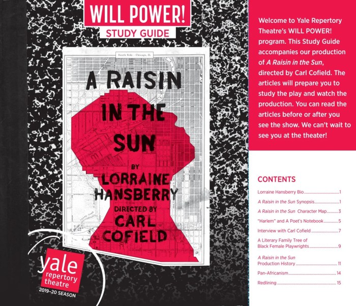 Raisin in the sun summary pdf