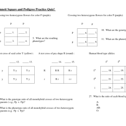 Punnett square practice all about dogs