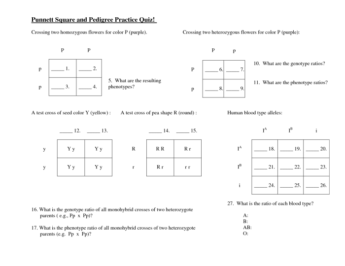 Punnett square practice all about dogs