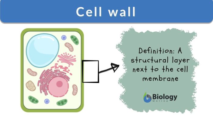 Membrane sutori