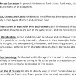 Nutrient cycles pogil answer key