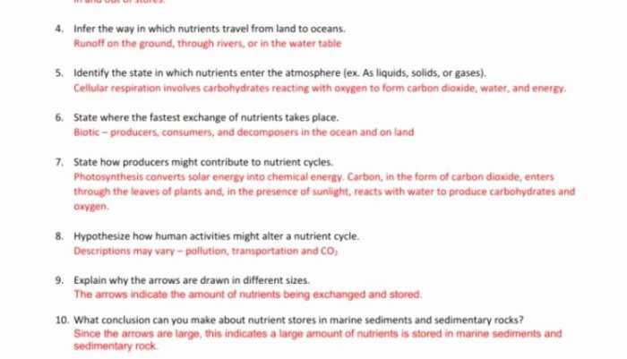 Nutrient cycles pogil answer key