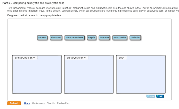 Drag each cell structure to the appropriate bin.